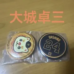 Item thumbnail for item e13fc743-07af-423d-ad8c-4b84288658be