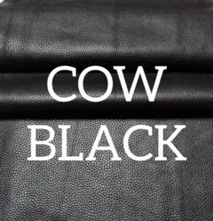 Item thumbnail for item c7971e9d-89ce-4b57-a406-5a201a26f186