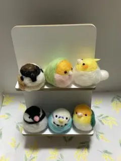 羊毛セキセイインコ、シロハラインコ、オカメインコ、スズメ、桜文鳥、コザクラインコ