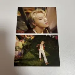 SEVENTEEN HEAVEN kit ポストカード ディノ