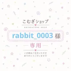 【専用ページ】rabbit_0003様