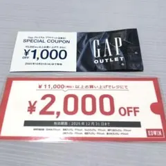 EDWIN＊GAP＊アウトレットクーポン 3000円分割引券