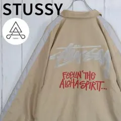 Item thumbnail for item 8c4f0596-ba81-4c91-ad0a-d421b240dfef