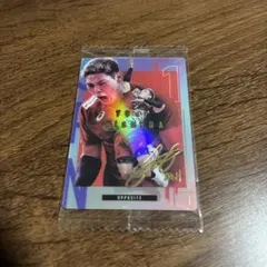 Item thumbnail for item a4874cb2-c41f-47be-b65a-678c89207c8c