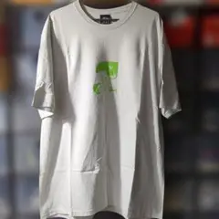 ステューシー ネイチャー Tシャツ STUSSY NATURE TEE