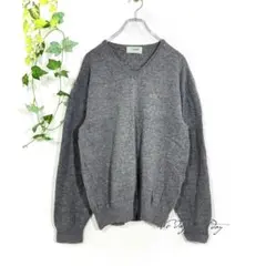 クロコダイル ニット セーター(XL)灰色 Vネック ワンポイントロゴ ウール混