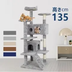 Item thumbnail for item 00edb783-273f-4583-b640-35e9b6183047