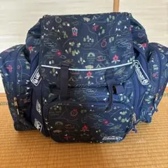 Item thumbnail for item f10d9480-314d-4b9e-8dde-9b1842d789d9