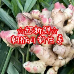 高知県産　ごんげん畑の親生姜 4キロ 高知県産 ごんげん畑の親生姜 4キロ - メルカリ