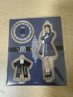 ニアジョイ 大西葵 アクスタ 9点まとめ売り（バラ売り可） ニアジョイ 大西葵 アクスタ 9点まとめ売り（バラ売り可） アイドル