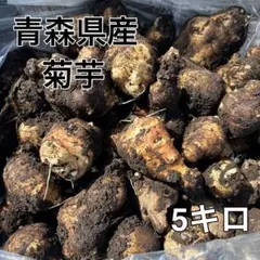 青森県産 菊芋 5キロ 農薬不使用