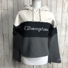 US古着　チャンピオン　リバースウィーブ　　サイズ2XL RA27