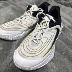 NIKE バスケットボールシューズ ホワイト ゴールドのサムネイル