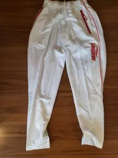 Item thumbnail for item 113a0d96-b327-485e-8b62-f2908afa8526