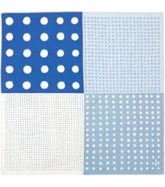 Item thumbnail for item f5025e81-3cf7-49db-9882-569afe03b80c