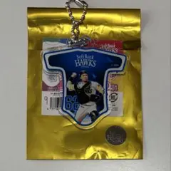 ソフトバンクホークス シークレット応援歌アクリルキーチェーン 近藤