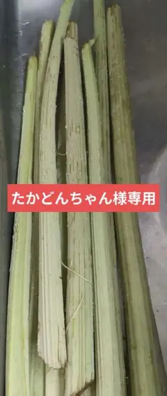 たかどんちゃん様専用