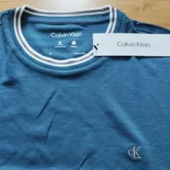 Item thumbnail for item 690f9953-2f46-4f80-934a-2666ef5d2122