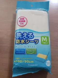 Item thumbnail for item e5f50a12-e4e9-41c5-b450-e535b6ae4858