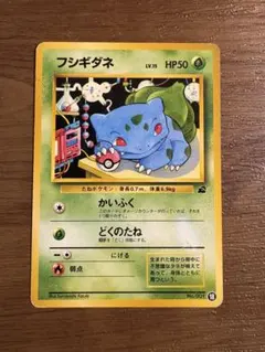 フシギダネ 旧裏 イントロパック