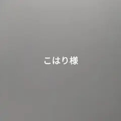 こはり様、新品ニューエラLサイズ、