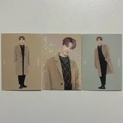 SEVENTEEN winter ディノ トレカ