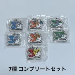 ポケモン 30周年 メタルチャームマスコット めじるしアクセサリー コンプ 新品