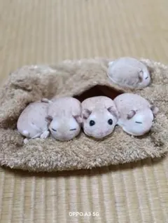 ハムスターデザイン ティッシュボックスカバー