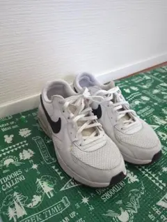 Nike Air Max ホワイト/ブラック