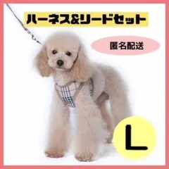 Item thumbnail for item 4adba274-b37d-4128-8ec3-846eb60b3cdc