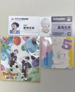 ハイキュー ファンパーク 名刺カード コースター 色紙 日向 影山 昼神 星海