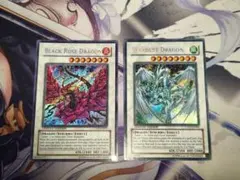 2026年最新】スターダスト・ドラゴンブラック・ローズ・ドラゴンの人気