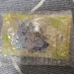CUTIESTREET きゅーすと 集合アクスタ