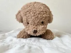 Item thumbnail for item ff8d6d94-f1c0-434c-9867-2270a7578a4f