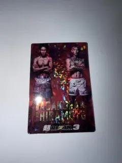 朝倉未来超RIZIN.4 真夏の喧嘩祭りステッカー3枚セット - メルカリ