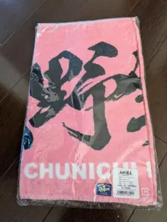 中日ドラゴンズ 辻本倫太郎 29 応援フェイスタオル 新品未開封品