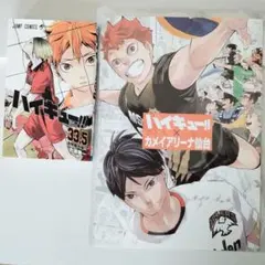 ハイキュー!! カメイアリーナ仙台 限定パンフレット / 33.5巻 映画特典