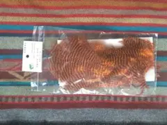 Item thumbnail for item 08181e9a-969c-46fb-a749-95097ce0918f