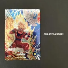 ＊ 孫悟空　　PUR SDV6-VSPUR5 ＊