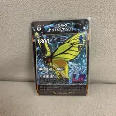 蟲神器　ゴクラクトリバネアゲハ