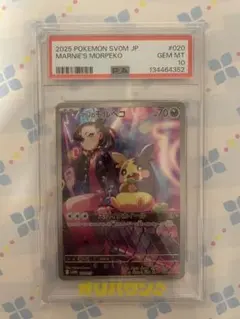 【PSA10】マリィのモルペコ SVOM スターターセットex マリィのモルペコ