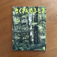 トドマツ たくさんのふしぎ 福音館書店 - メルカリ