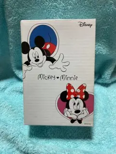 ミッキー&ミニーステンレスボトル  非売品