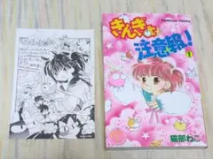 1995年愛天使伝説ウェディングピーチ 藤井みどり - メルカリ