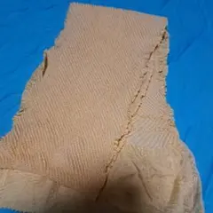 Item thumbnail for item 7c8bbcda-5b58-4102-a408-897abf938c29