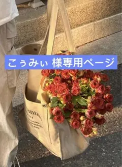 新品【SUKALA】プリントヨギラグ　ディズニー　web限定　ヨガラグ、ee