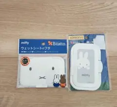 Item thumbnail for item be097682-8101-42a1-b24a-d45be822e361