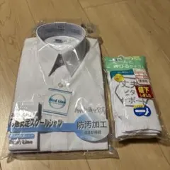 Item thumbnail for item fc0c5753-3184-4c22-a839-475993b022ba