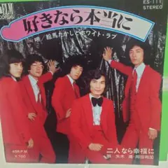 平沢進／オーロラ 新品未開封オリジナルCD P-MODEL - メルカリ