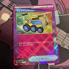 プレシャスキャリー SVLN